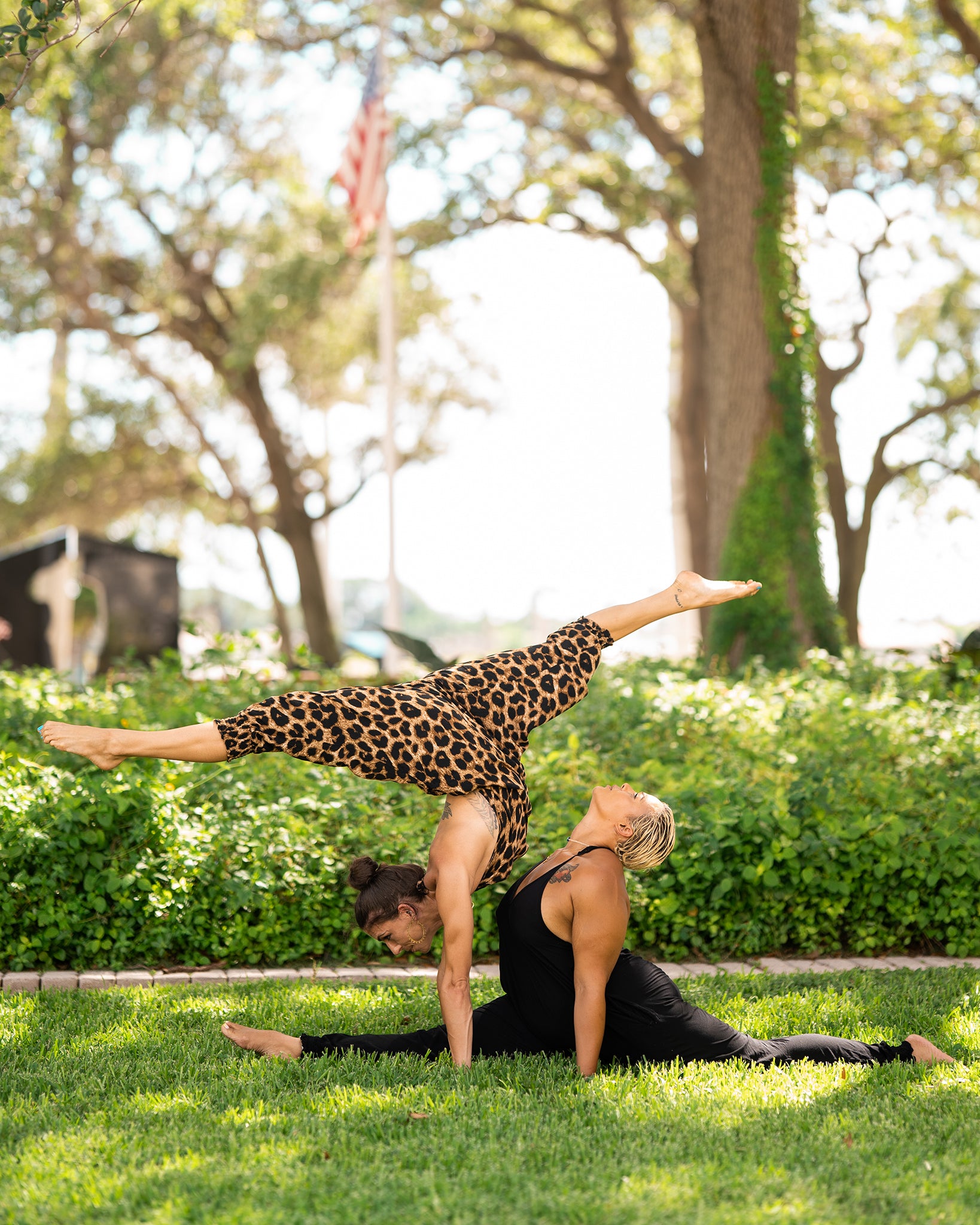 acro yoga#color_leopard